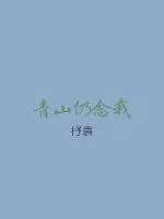 《青山仍念我》小说封面