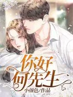 《你好,何先生》小说封面