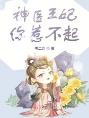 《神医王妃你惹不起》小说封面