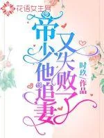 《帝少他追妻又失败了》小说封面