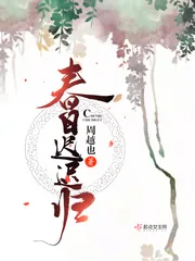《春日迟迟归》小说封面