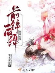 《前锦后绵》小说封面