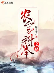 《农家科举之路》小说封面