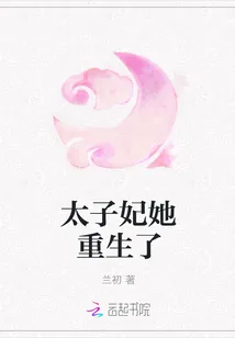 《太子妃她重生了》小说封面