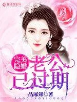 《完美隐婚,老公已过期》小说封面