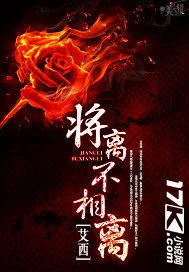 《将离不相离》小说封面