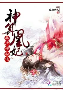 《神算凰妃,帝少慢点追》小说封面