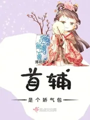《首辅是个娇气包》小说封面