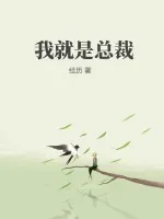 《我就是总裁》小说封面