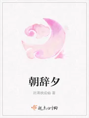 《朝辞夕》小说封面