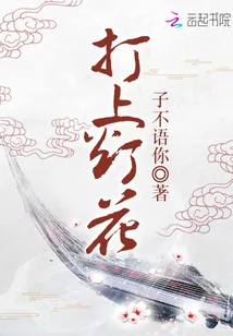 《打上灯花》小说封面