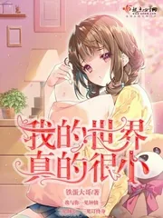 《我的世界真的很小》小说封面