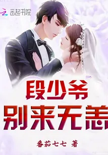 《段少爷，别来无恙》小说封面