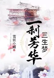 《一刹芳华三生梦》小说封面