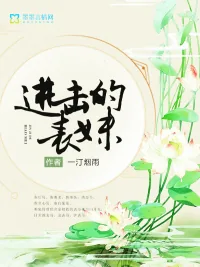 《进击的表妹》小说封面