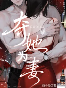 《夺她,为妻》小说封面