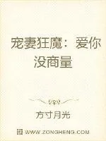 《宠妻狂魔:爱你没商量》小说封面