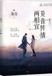 《觅音传情两相宜》小说封面