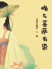 《略与菩萨有染》小说封面