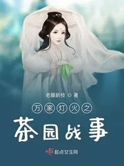 《万家灯火之茶园战事》小说封面