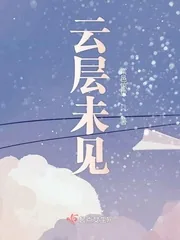 《云层未见》小说封面