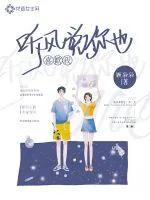 《听风说你也喜欢我》小说封面