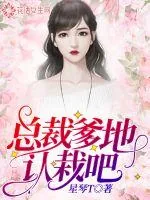 《总裁爹地认栽吧》小说封面