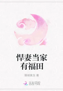 《悍妻当家有福田》小说封面