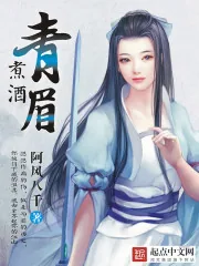 《青眉煮酒》小说封面