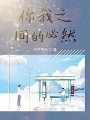 《你我之间的必然》小说封面