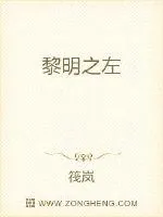 《黎明之左》小说封面