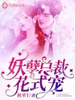 《妖孽总裁花式宠》小说封面