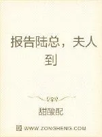 《报告陆总，夫人到》小说封面