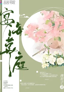 《宴海华庭》小说封面