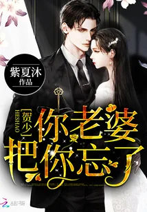 《贺少,你老婆把你忘了》小说封面