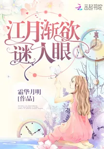 《江月渐欲谜人眼》小说封面