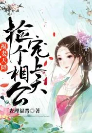 《福妻天降:捡个相公宠上天》小说封面