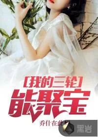 《我的三轮能聚宝》小说封面