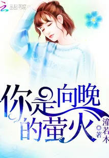 《你是向晚的萤火》小说封面