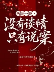 《两眼一睁，没有谈情只有说案》小说封面
