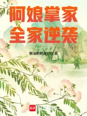 《阿娘掌家,全家逆袭》小说封面