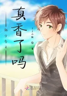 《韩少今天真香了吗》小说封面