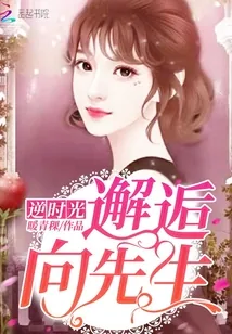 《逆时光邂逅向先生》小说封面