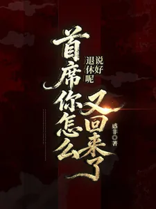 《说好退休呢？执法官你怎么回来了》小说封面