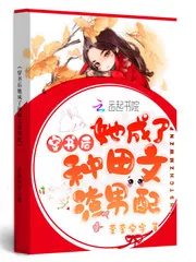 《穿书后她成了科举大佬》小说封面