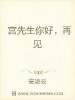 《宫先生你好，再见》小说封面