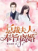 《总裁夫人奉旨离婚》小说封面