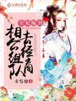 《皇妃嫁到:相公组队去经商》小说封面