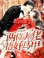 《两位大佬捂好马甲》小说封面