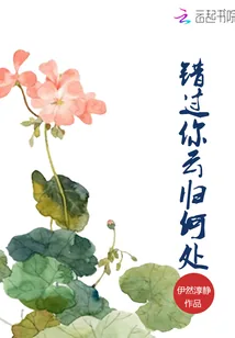 《错过你，云归何处》小说封面